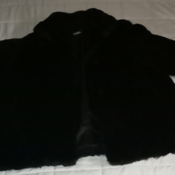 Two coats - Picture 4 of 6